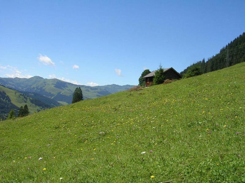 Hotel Langeck Maria Alm am Steinernen Meer Exterior photo